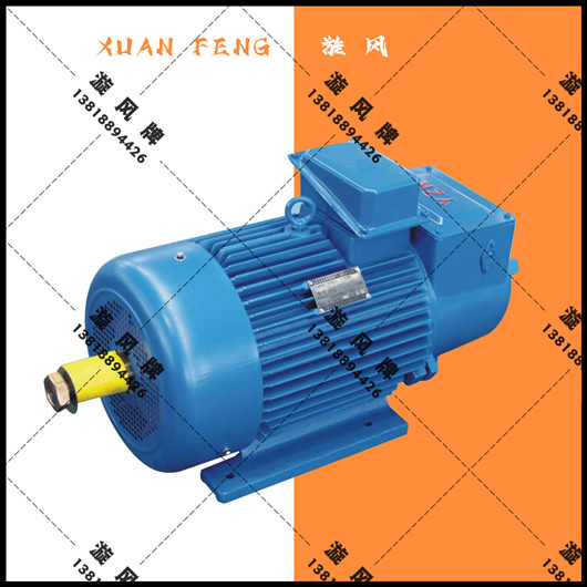 合肥市 |卷?yè)P(yáng)機(jī)電機(jī)